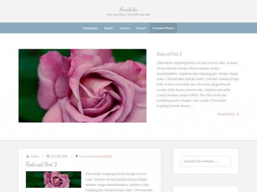 Screenshot of Anahita theme