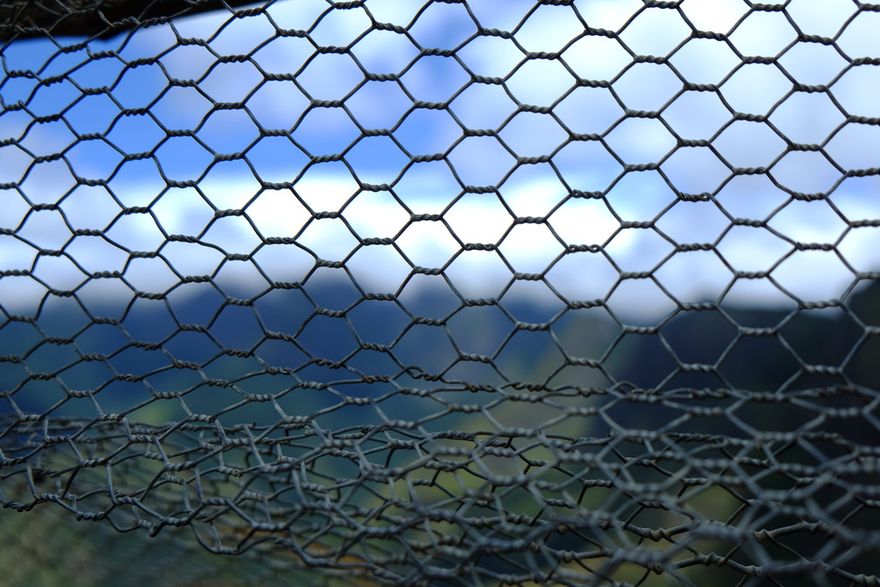 Photo of blurry landscape seen through a wire fence
